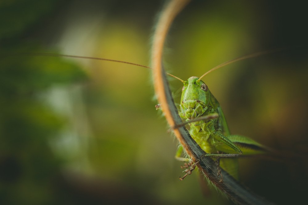 Photograph by Александра