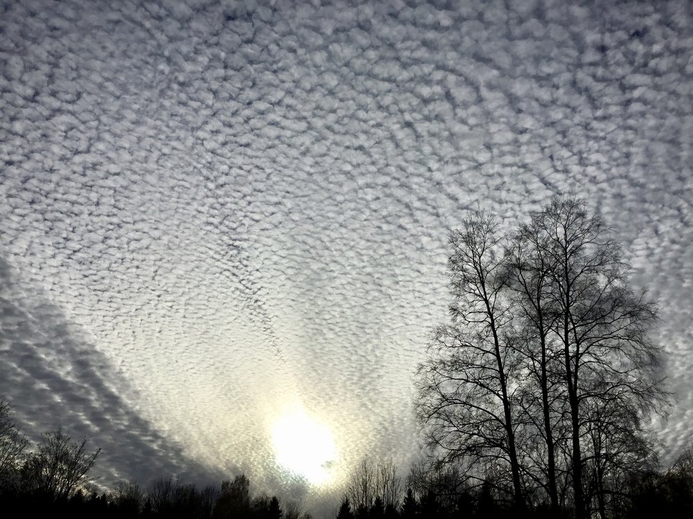 Photograph by Toomas Tõnisalu