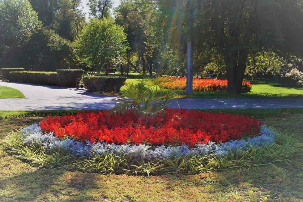 Photograph by Алия Байсыкова