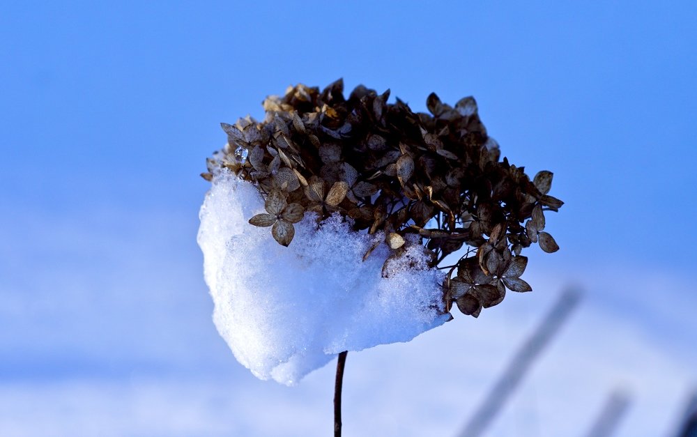 Photograph by Toomas Tõnisalu