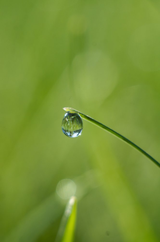 Photograph by Светлана Шибаршина