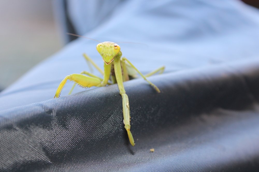 Photograph by Николай Немчанинов