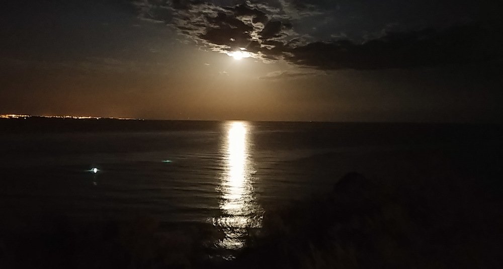 Photograph by Aleksandr Barsukov