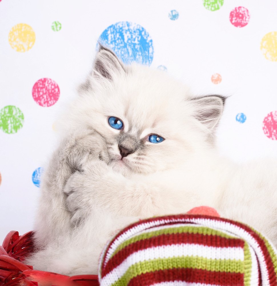 Photograph by Александра