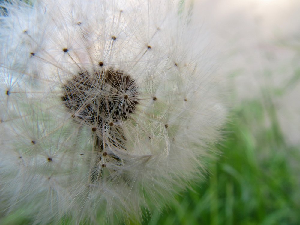 Photograph by Иван Доможирский