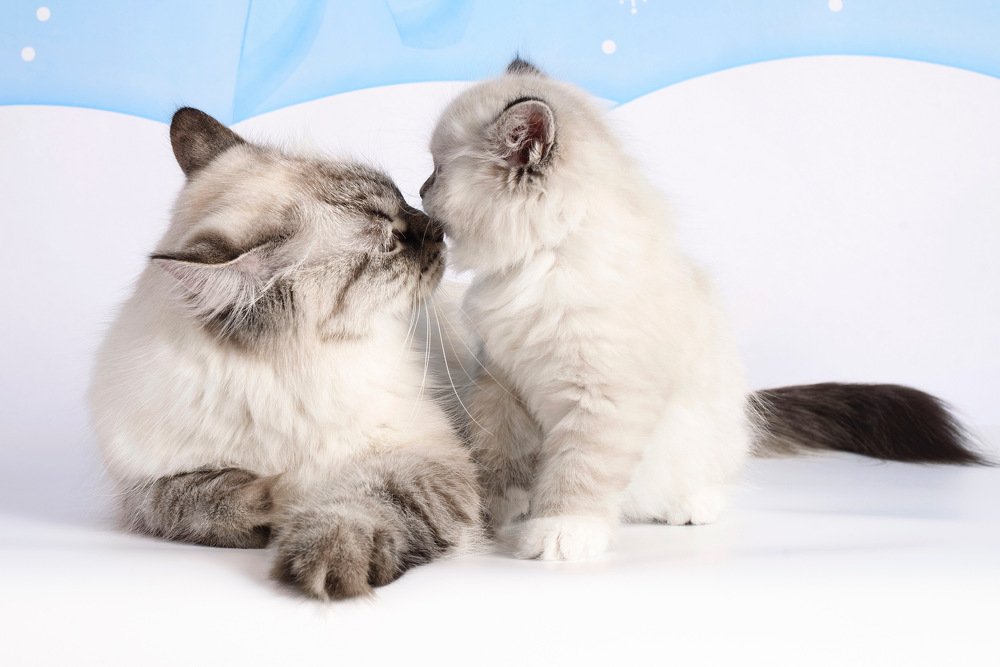 Photograph by Александра