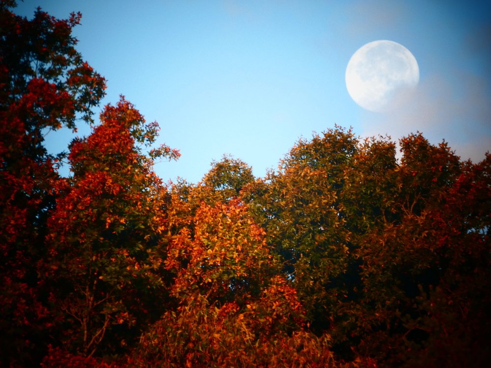 Утренняя Луна.