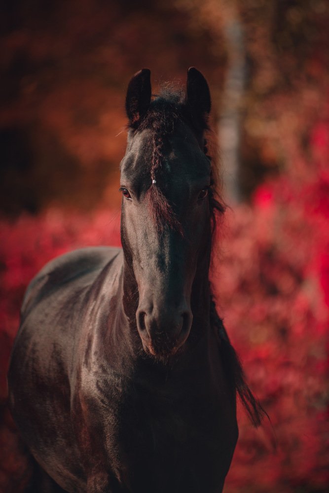 Photograph by Александра