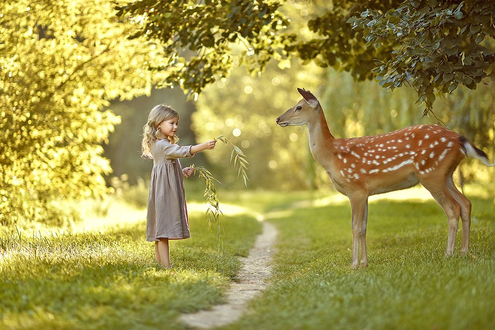 Необычный друг