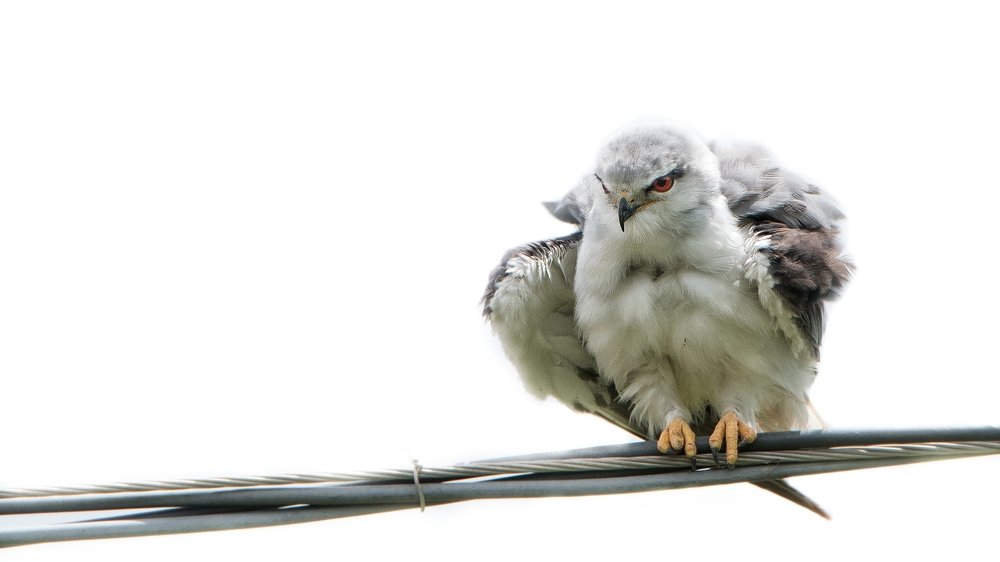 Photograph by Ujwal Pasupuleati