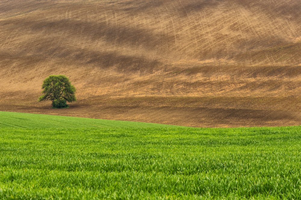 Photograph by Larisa Cekanaviсa