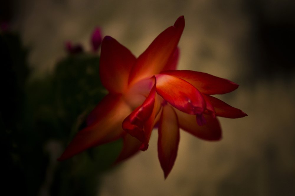 Photograph by Вячеслав Булатов