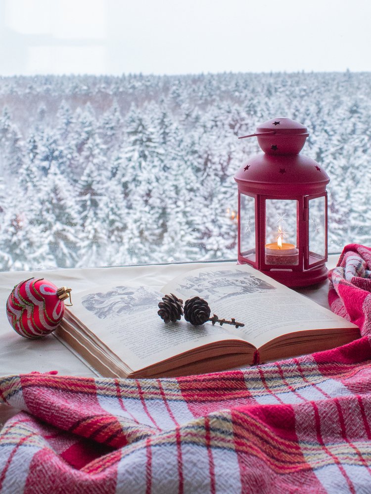 Натюрморт с шарфом