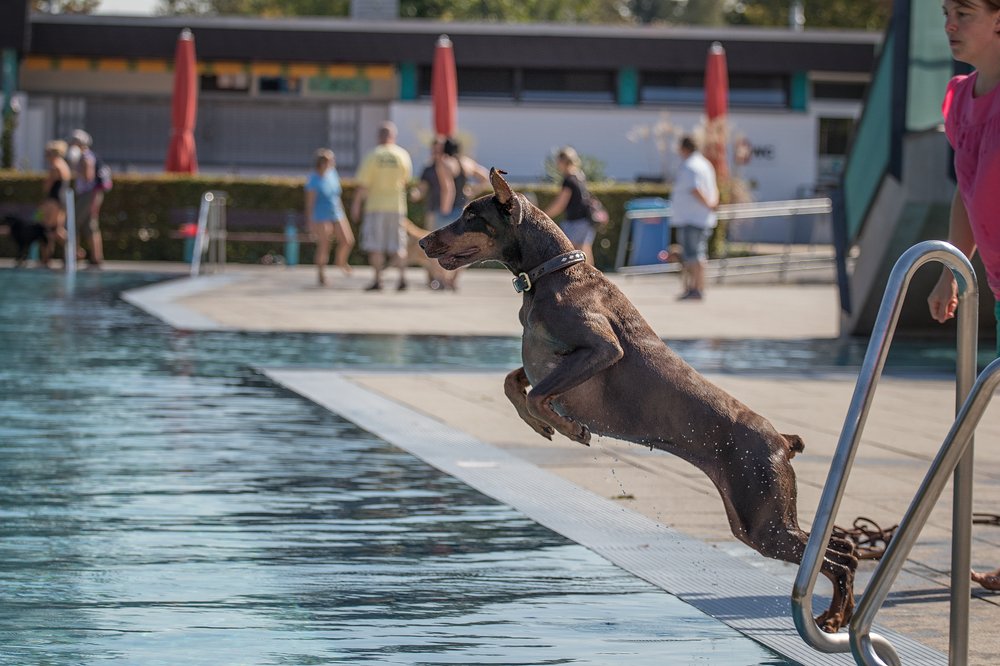 Photograph by Markus Bieck