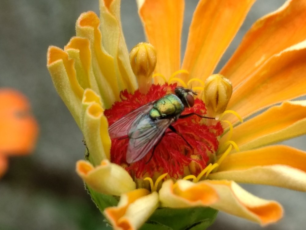 Фотография автора Jose Barbosa