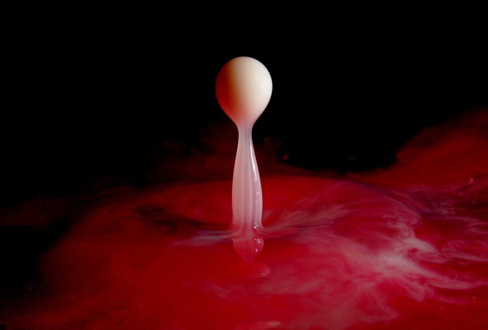 Photograph by Jurga Siauciuniene