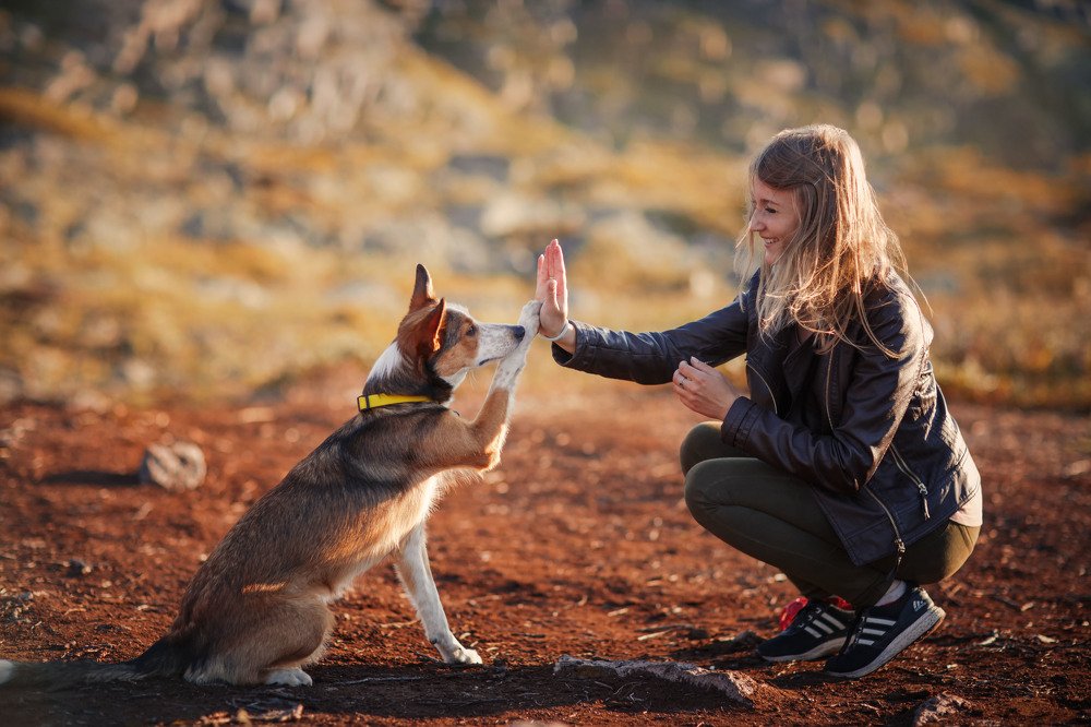 Photograph by Оксана Сироштан