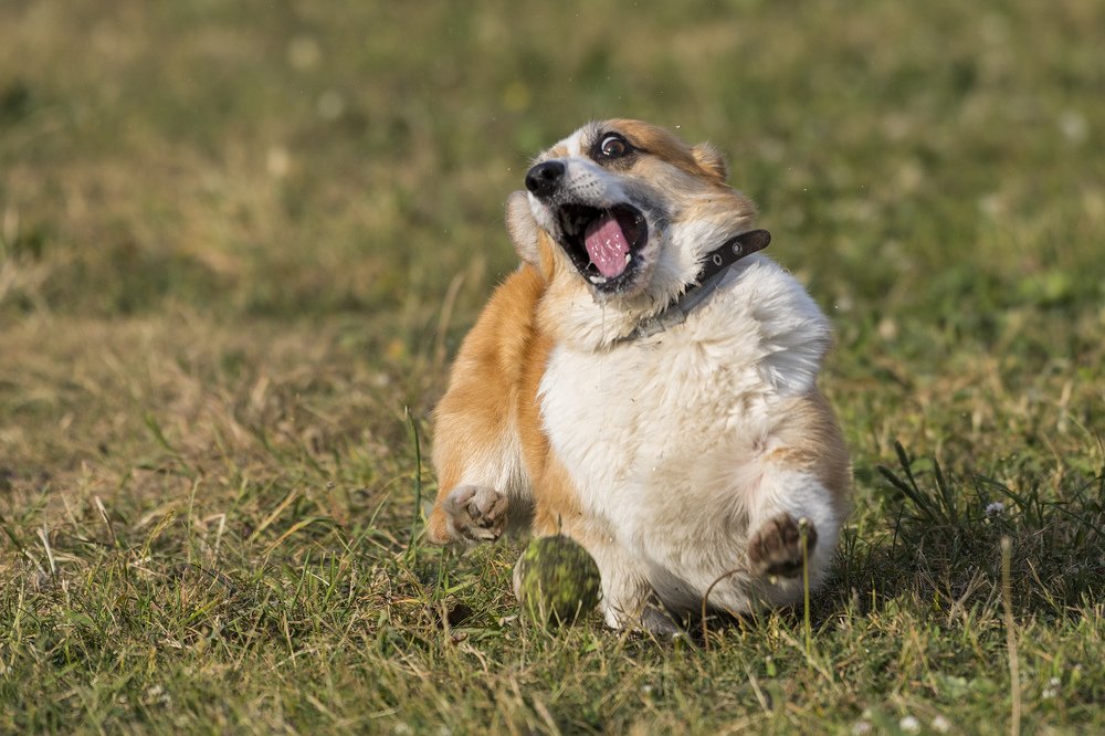 Photograph by Городничев Сергей