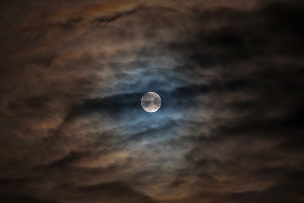 Photograph by Анна Мартынова