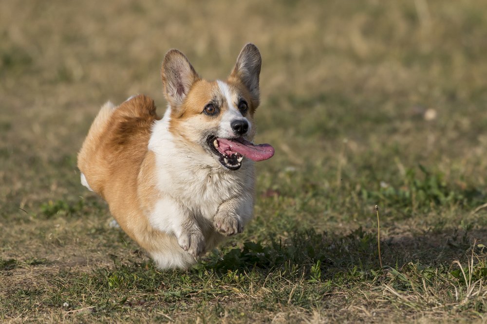Photograph by Городничев Сергей