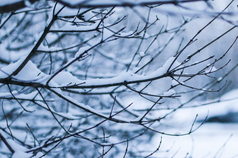 Photograph by Айшат Магомедова