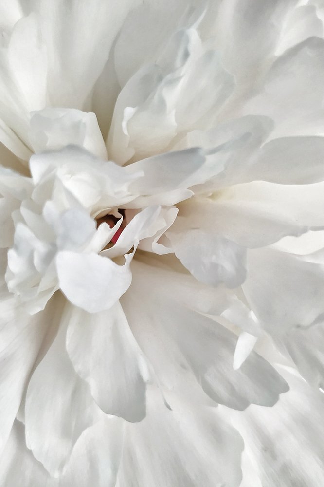 Photograph by Юлия