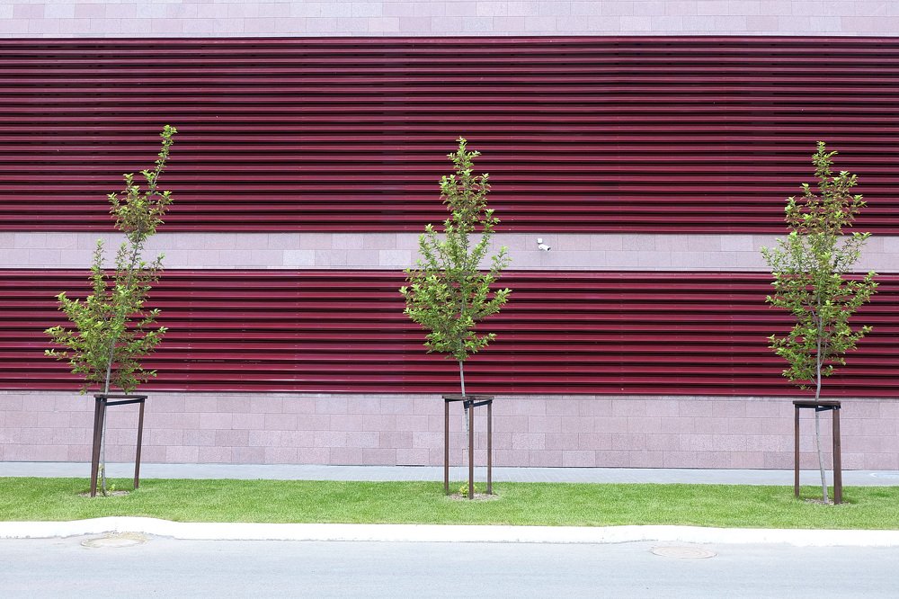 Photograph by Евгения Цой