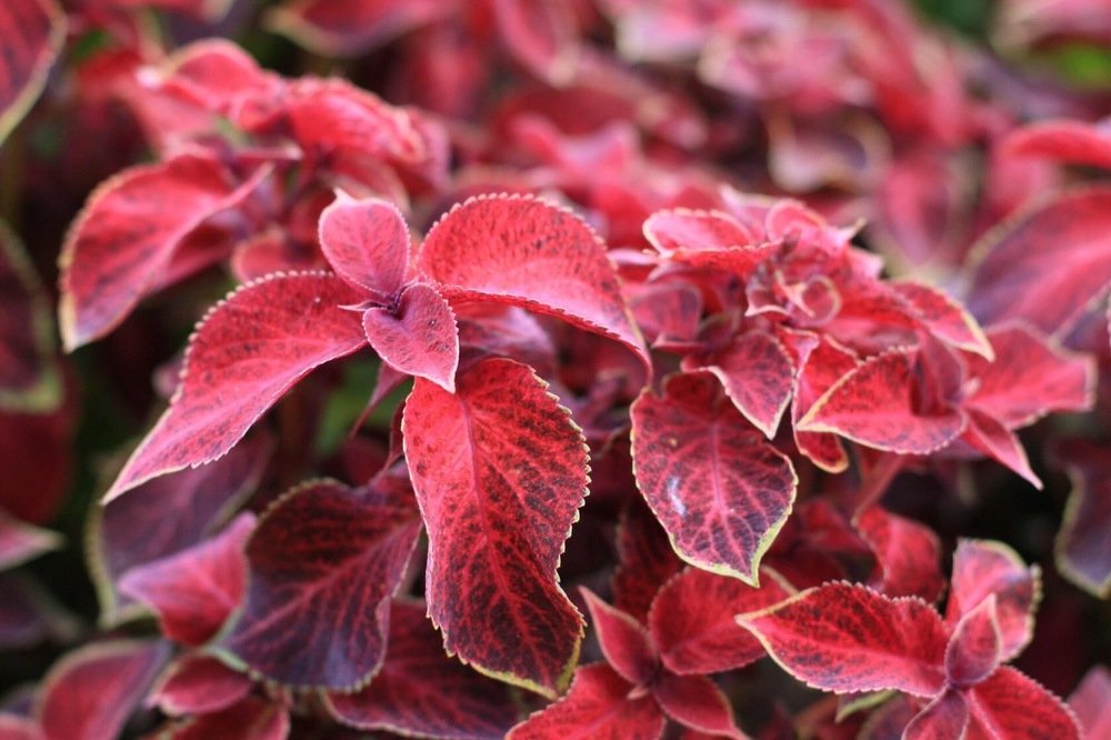 Photograph by Айшат Магомедова