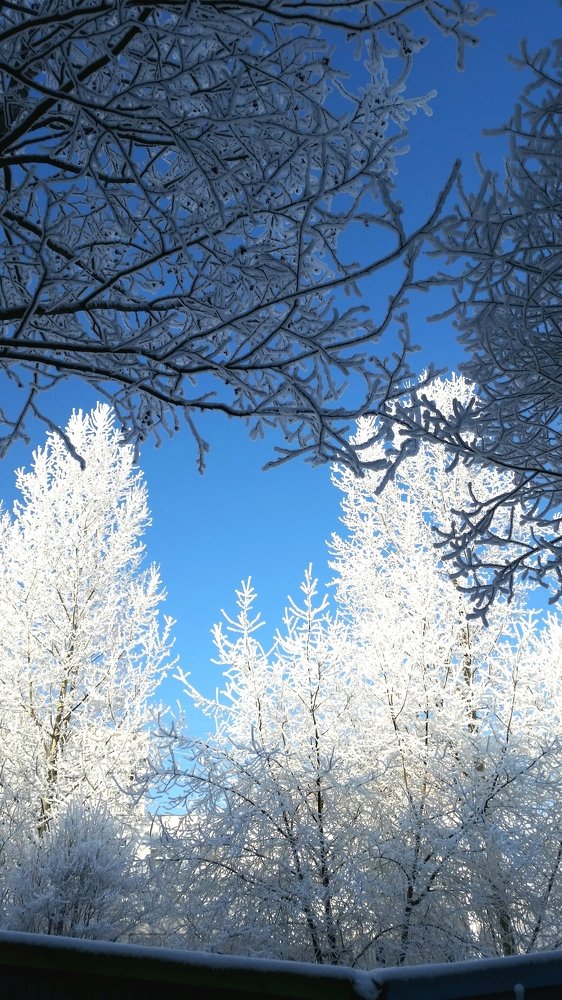 Photograph by Борис Каширин