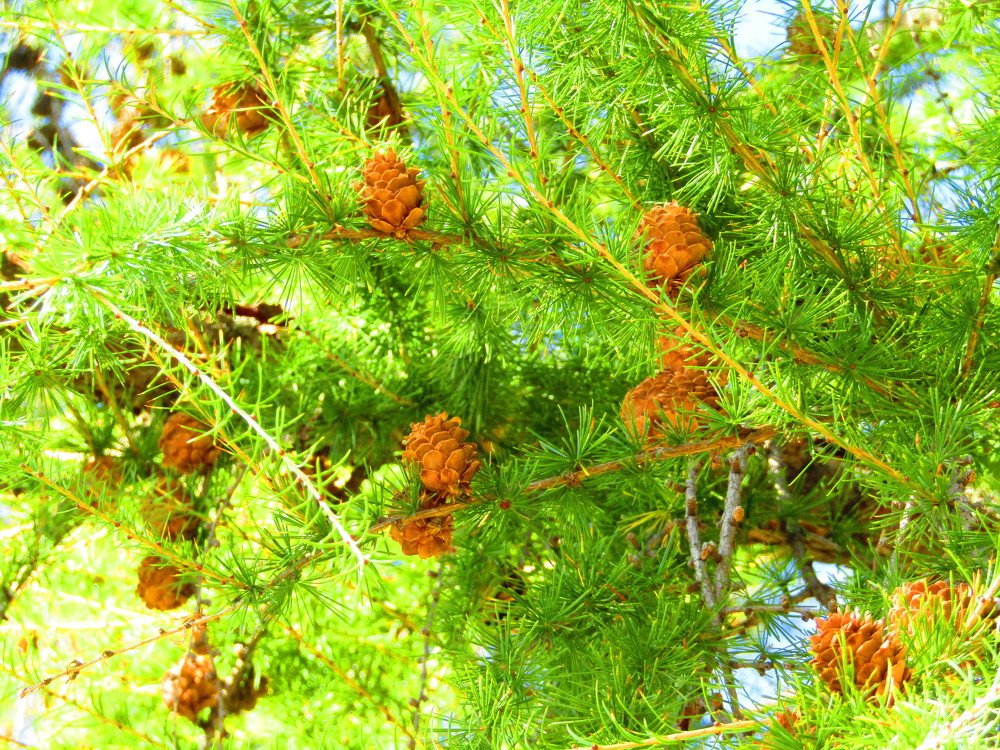 Photograph by Darko Milojevic