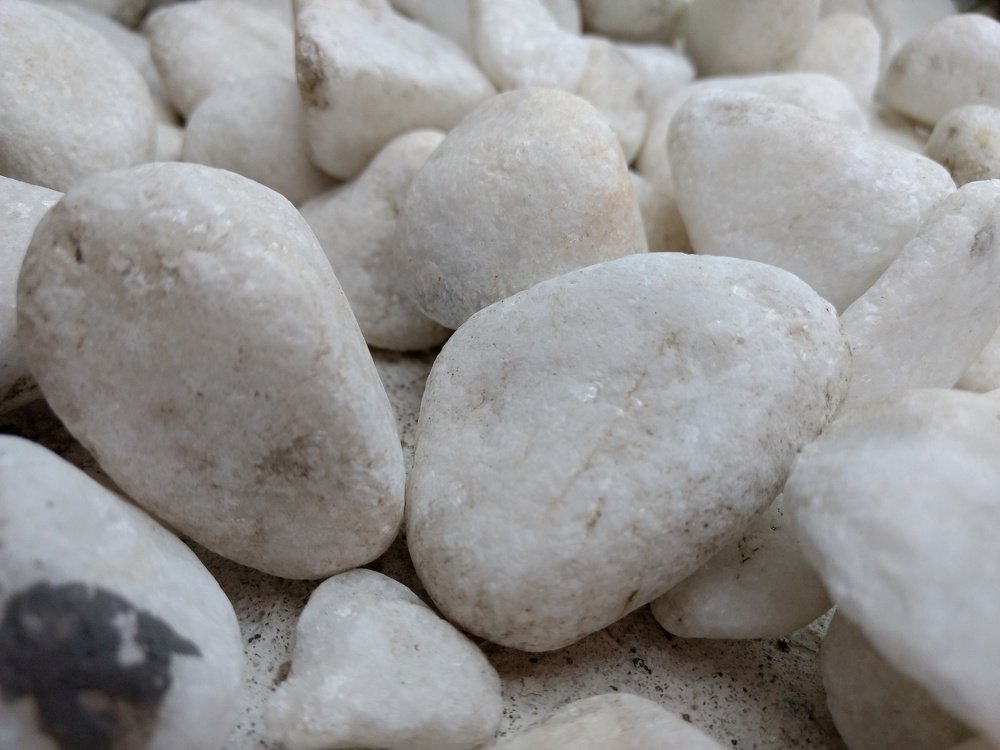 Фотография автора Jose Barbosa