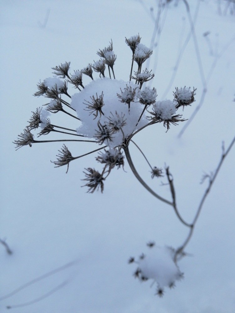 Photo #3741380