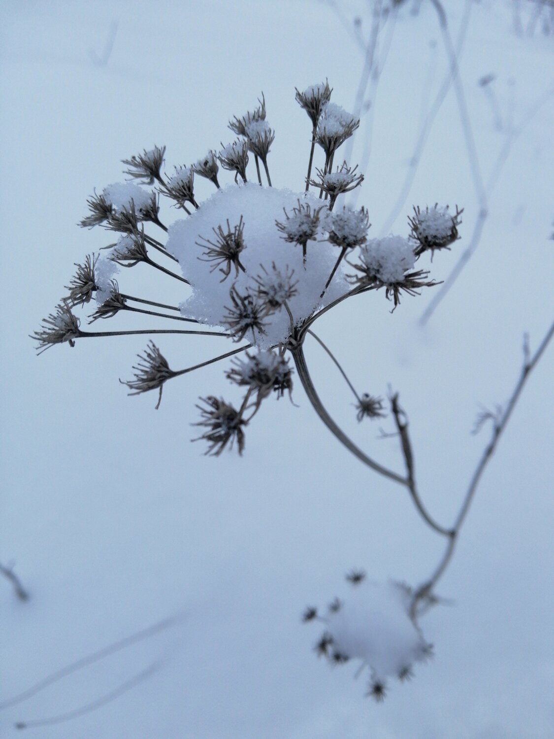 Photo #3741380