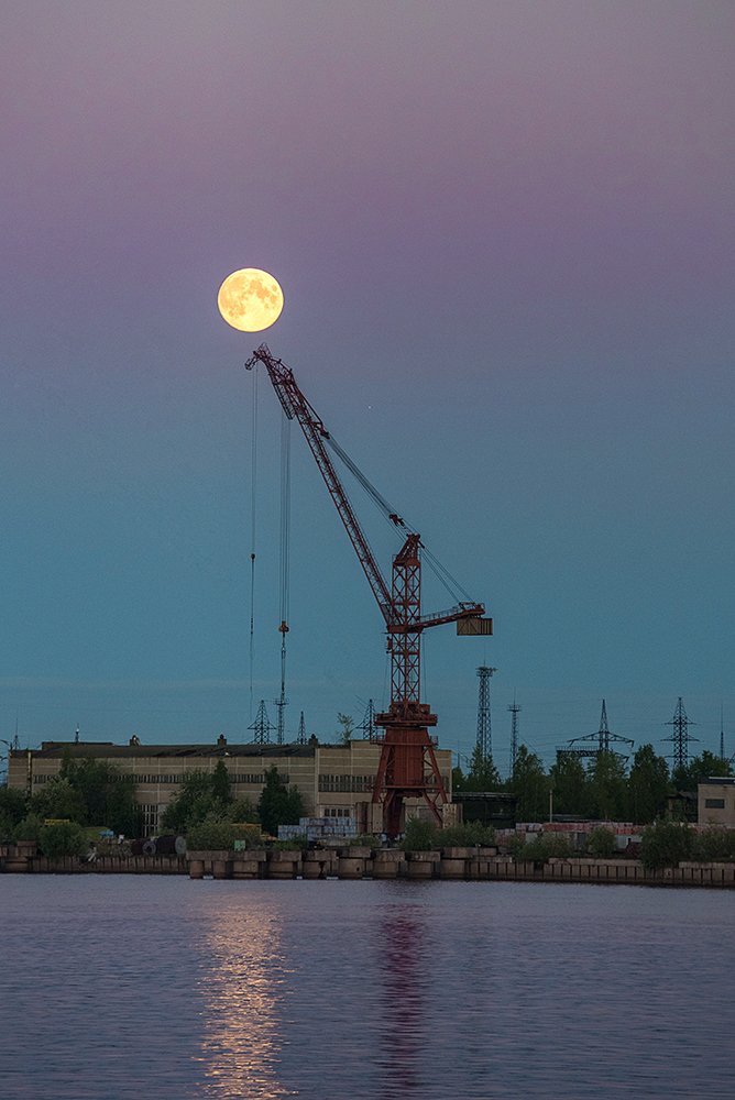 Photograph by Анна Мартынова