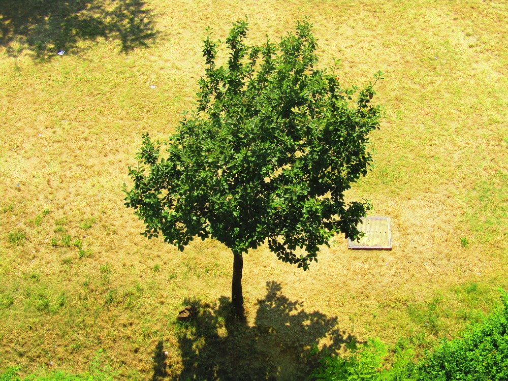 Photograph by Darko Milojevic