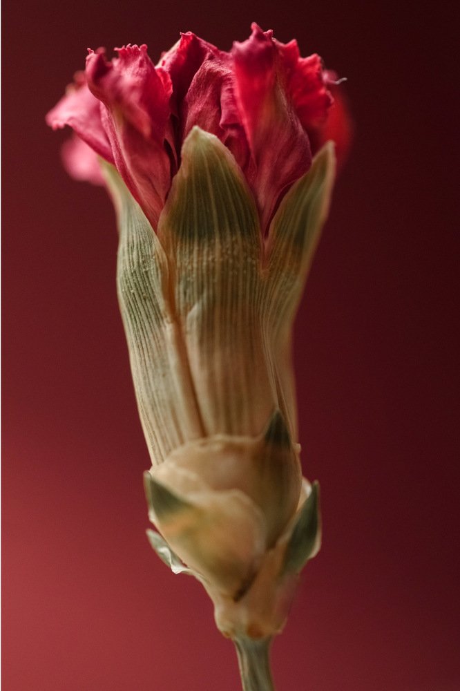 Photograph by Александра