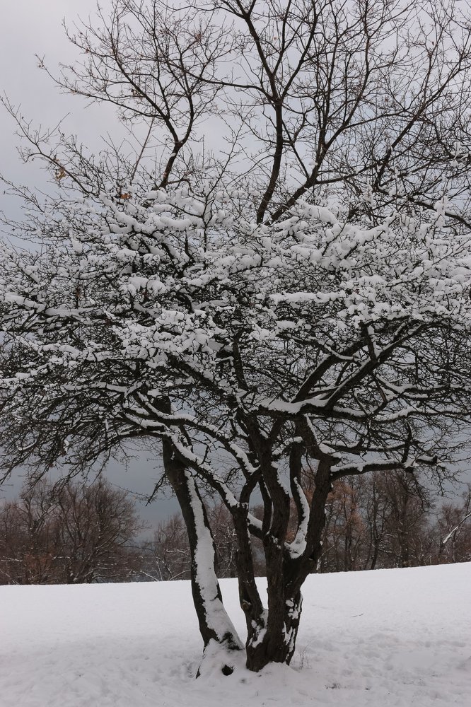 Photograph by Pilinger Miklos Csaba