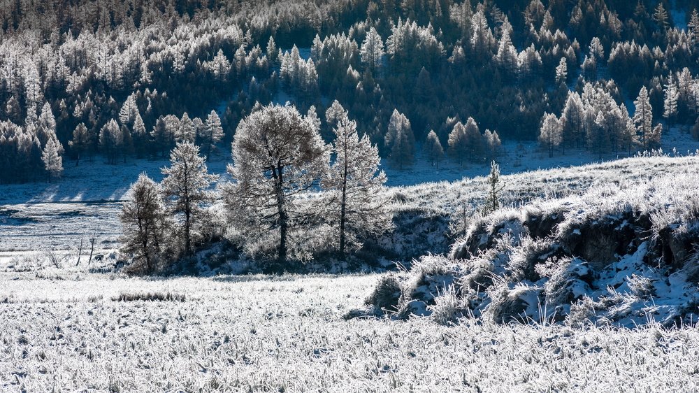 В серебряном убранстве.