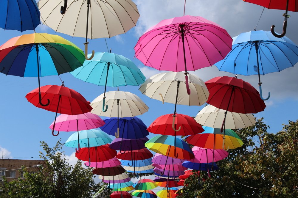 Photograph by Виталий