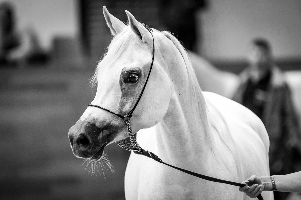 Фотография автора Ольга Руднева