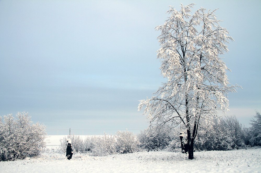 Photograph by Dzianis Mizhui