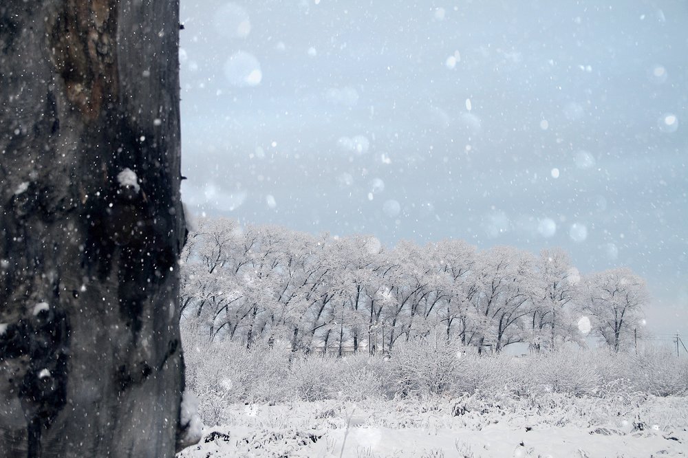 Photograph by Dzianis Mizhui