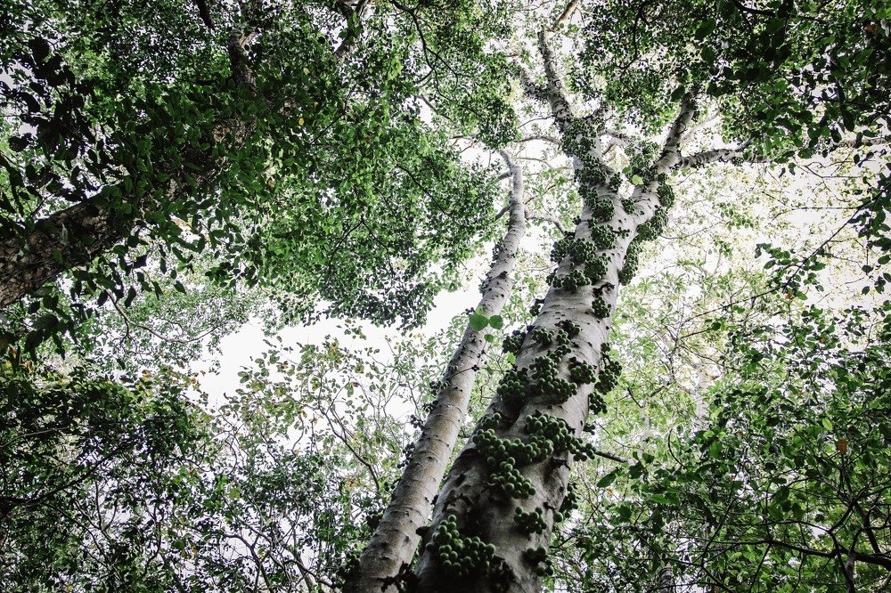 Photograph by Светлана Юдина