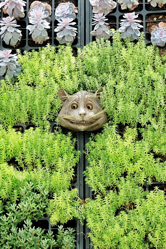 Улыбка среди зелени