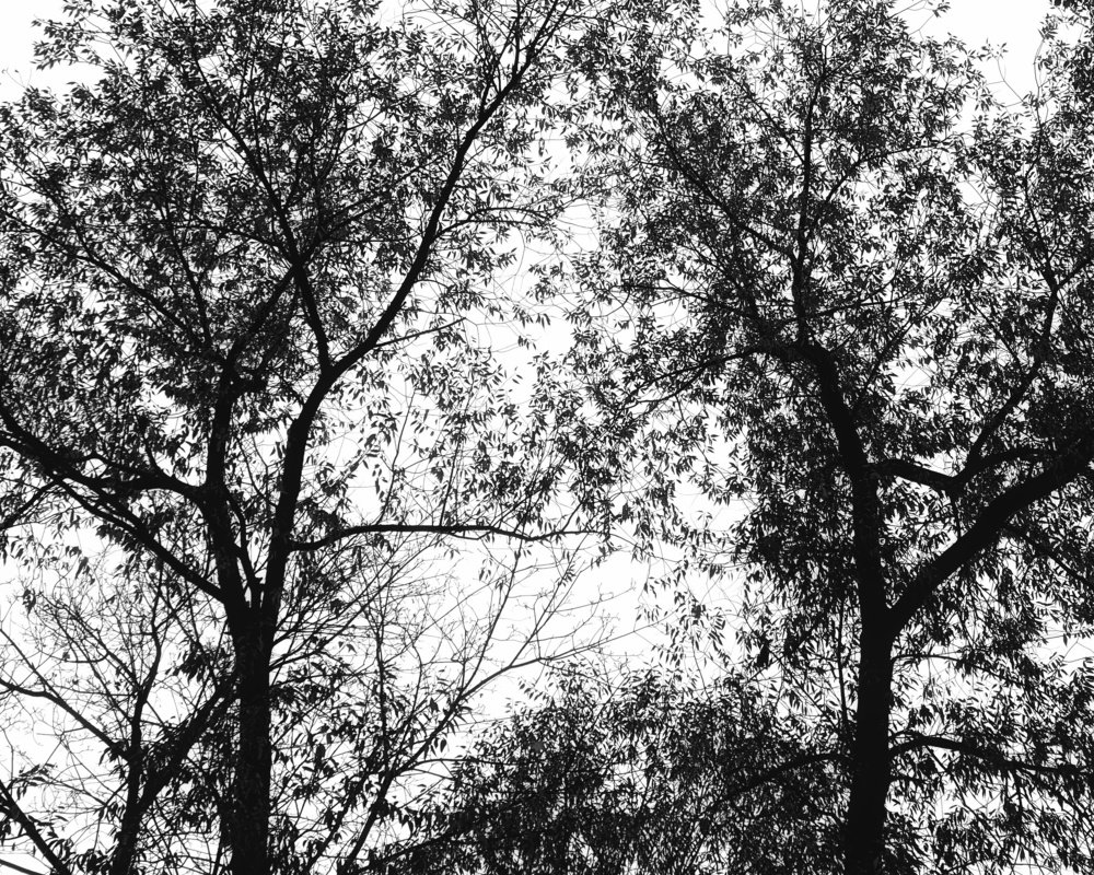 Photograph by Владимир Бакалов