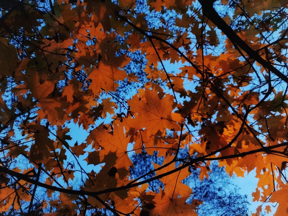 Photograph by Владимир Бакалов