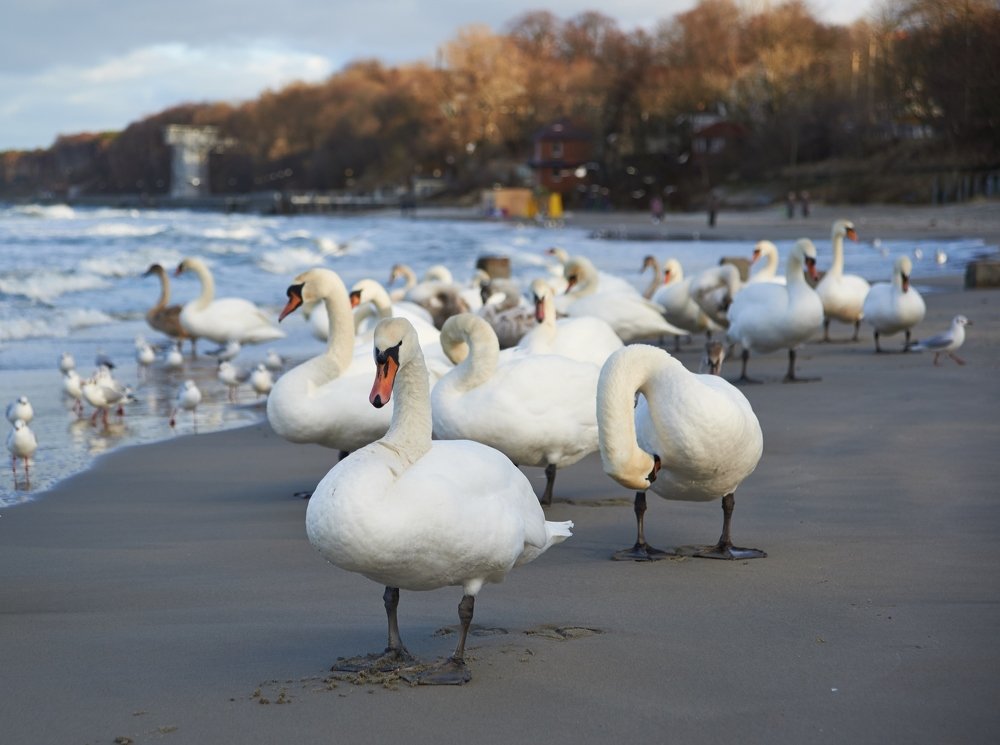 Photograph by Сергей Чуриков