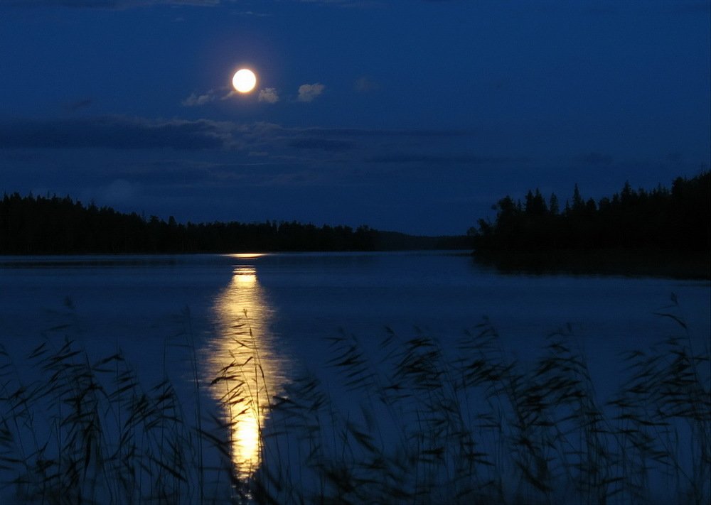 Photograph by Александр Авдушев