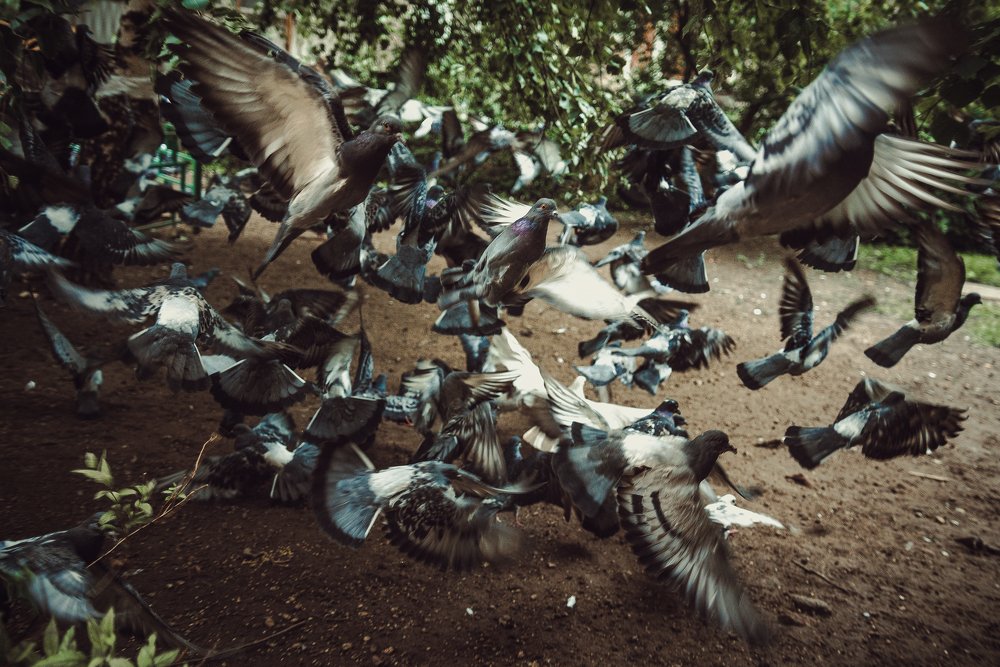 Фотография автора Александр Миронов