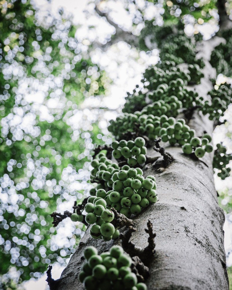 Photograph by Светлана Юдина